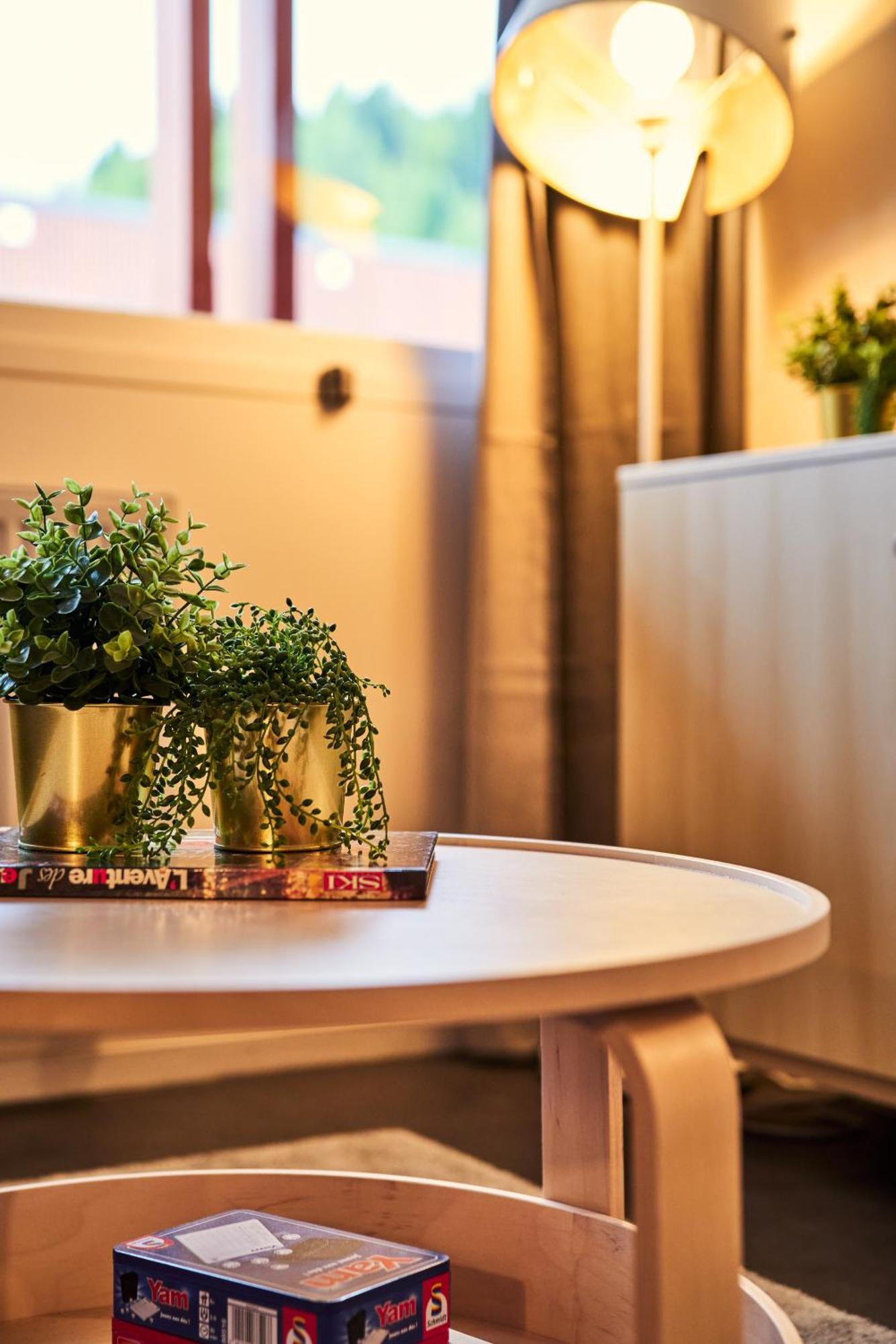 Renove Au Pied Des Pistes